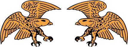 elang